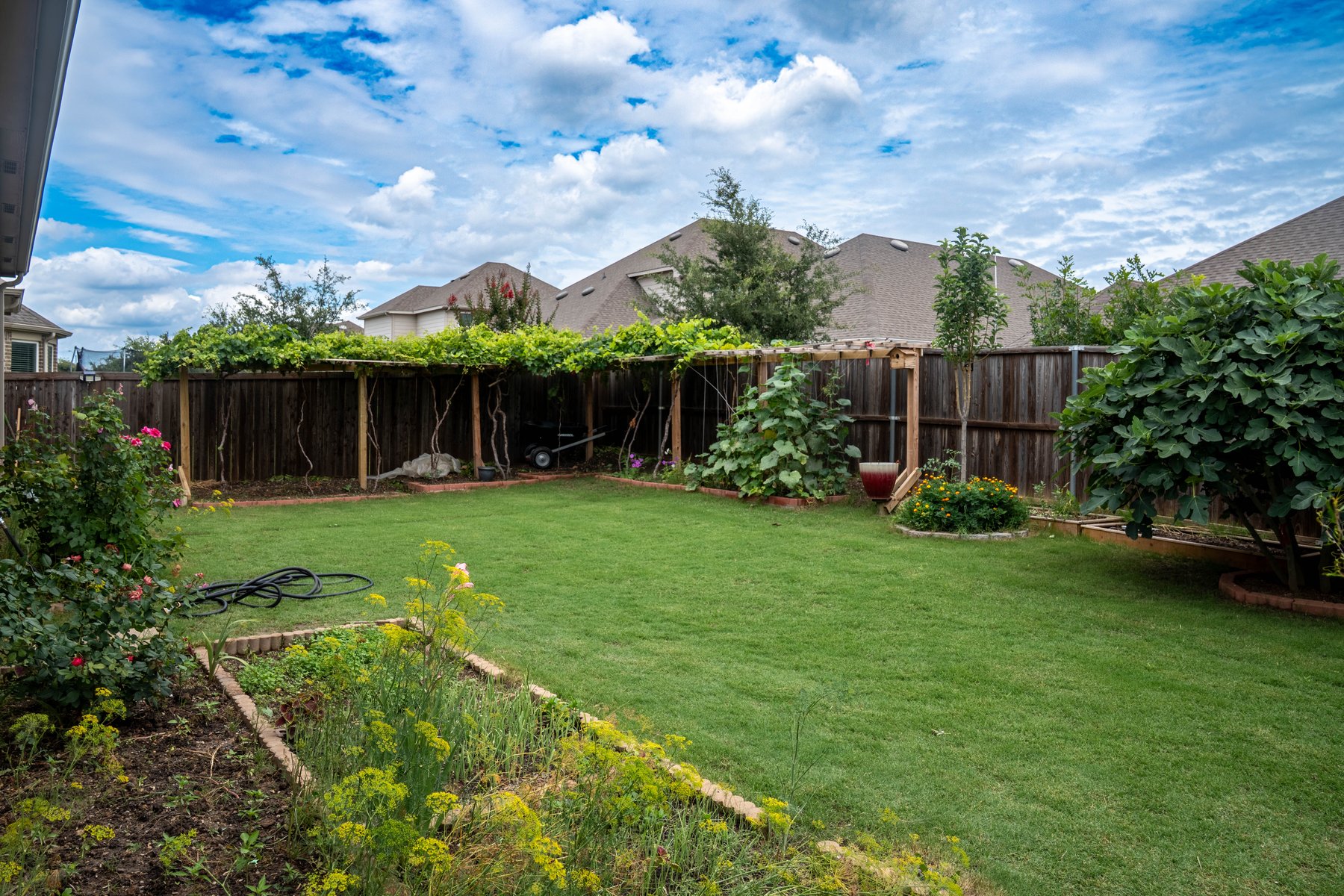 Backyard pergola