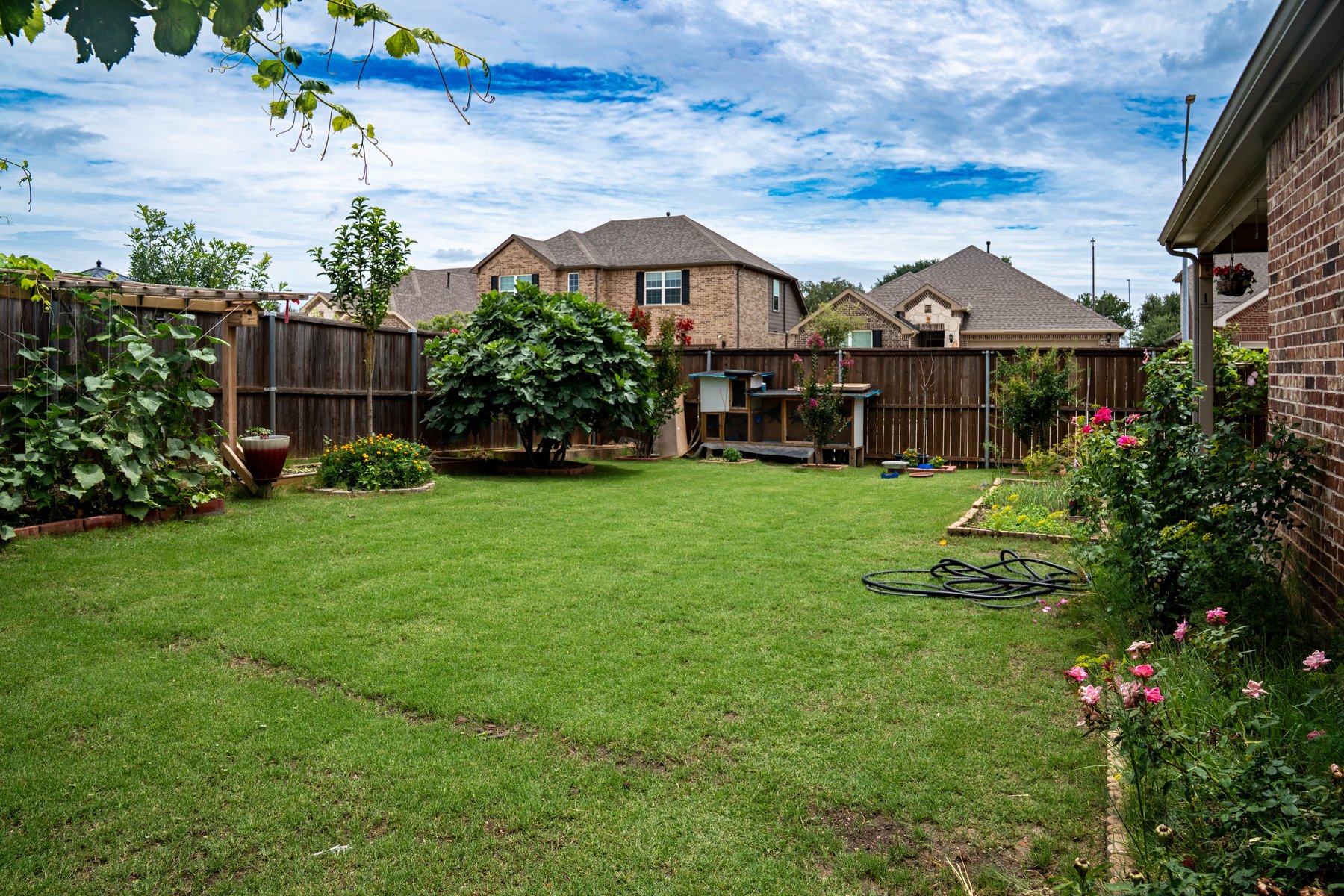 Backyard